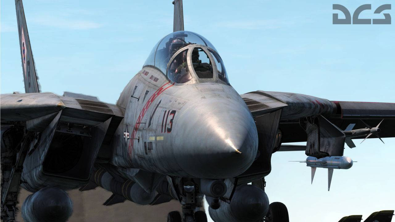 DCS World The Most Realistic Combat Flight Simulator deni